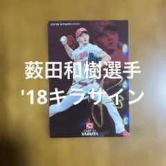 カピバラ様 リクエスト 3点 まとめ商品