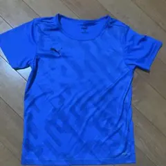 puma キッズ半袖　140cm