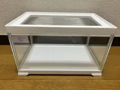 レプテリア ホワイト300Low ⑥のサムネイル