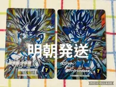 PUR SDV11-KPUR 2枚セット