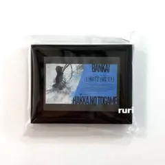 【未開封】BLEACH⁠⁠ ⁠ 朽木ルキア⁠ ⁠ ミニ額縁コレクション