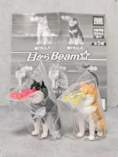未開封 目からBeam☆ INU A INU B 柴犬 黒柴