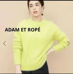 アダムエロぺ フェアリークリーネックニット☆イエナ、シップス、ZARA系