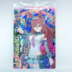 ヴラディカージ・アスタ様 リクエスト 2点 まとめ商品