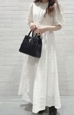 マジェスティックレゴン　ワンピース