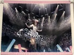 2026年最新】くるみ カントクの人気アイテム - メルカリ