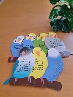 よかったらどうぞ インコ セキセイインコ 鳥