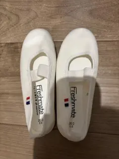 Item thumbnail for item f8c06300-27f3-4ade-bc1d-72142ec0b68d