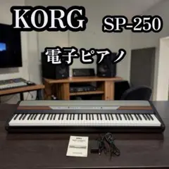 希少 KORG コルグ電子ピア SP-250 説明書のサムネイル