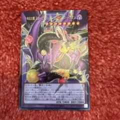 遊戯王OCG カードセット
