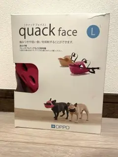 Item thumbnail for item a29778ca-672e-43d1-b3c8-7ec8b4f5fe91