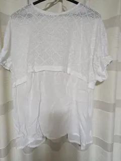 Item thumbnail for item 649c2574-ae0a-4be8-927c-778cad3bcccd