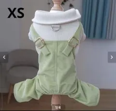 Item thumbnail for item fbe41081-c771-4ffb-8375-965479075682