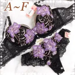 2/16再入荷❣️クラシックピオニー♥️ブラTバックセット✨エメフィール系ワコール系