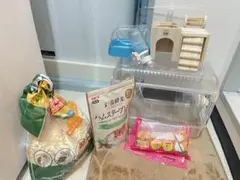 Item thumbnail for item 24f97249-195b-4f0c-8d8d-de045c90ac59