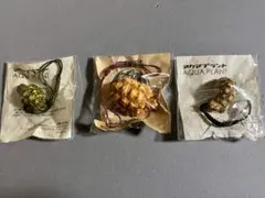 2026年最新】守亜 アクアプラントの人気アイテム - メルカリ