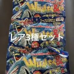 WHALES & CO. アンドコ　くじら&co.