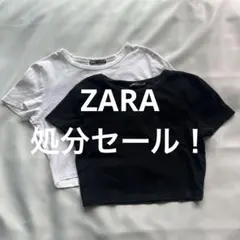 Item thumbnail for item 69fdb028-774e-4317-9690-7961ae66850a