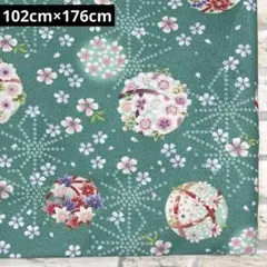 Item thumbnail for item 423fcb25-4672-4055-b240-5c173141f638