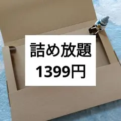 【詰め放題】ゆうパケットポスト ネコポス