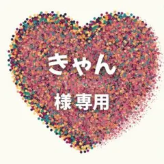 きゃん　様　専用ページ７