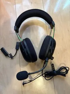 Item thumbnail for item c98f8390-63ac-4b62-9ced-9ddade1c8e23