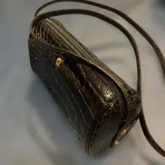 アイグナー　クロコダイル　ショルダーバッグ　ポーチバッグ