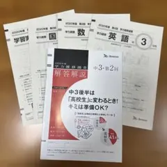 ☆ ベネッセ 学力推移調査 中3 2020年度 第2回のサムネイル