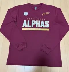 DESCENTE ALL JAPAN 2023 陸上用長袖シャツ 鹿児島国体 - メルカリ