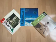 2026年最新】宮沢昭 山女魚の人気アイテム - メルカリ