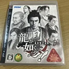 龍が如く 見参!