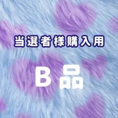 専用ページ