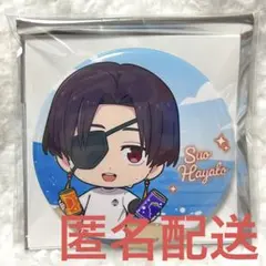 ウィンドブレーカー まねきねこ 蘇枋 隼飛 缶バッジ デフォルメ