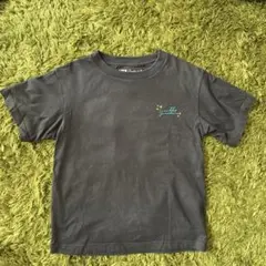 すみっこぐらし キッズ Tシャツ グレー