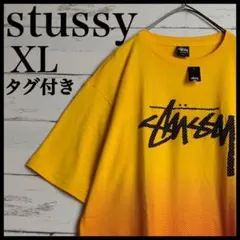 【美品・激レアモデル】ステューシー センタービッグロゴ 希少カラー Tシャツ/5