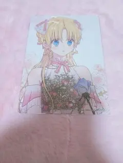 ある日、お姫様になってしまった件について 12巻特典 アニメイトビジュアルボード