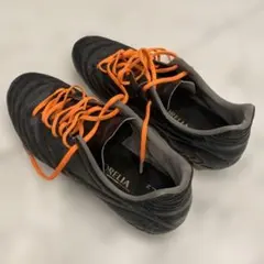 モナルシーダ neo 23.0