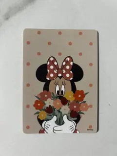 2025年最新】ディズニーストア カード じゃんけん 30周年の人気