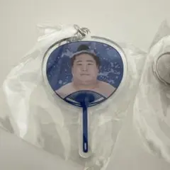 Item thumbnail for item 38d3f3b2-d072-4c4d-b0b2-0540fdb460a6