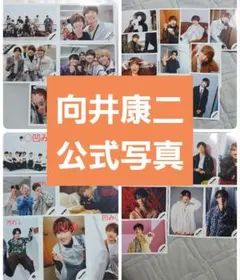 Snow Man 向井康二・公式写真31枚セット