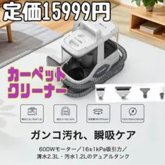 2026年最新】リンサークリーナー 業務用の人気アイテム - メルカリ