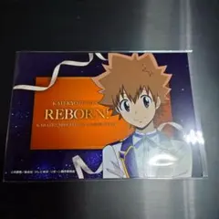カラオケの鉄人×家庭教師ヒットマンREBORN! コラボ 沢田綱吉 セット