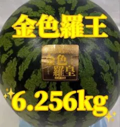 8/26迄！新潟県産ブランドスイカ 希少品種 金色羅皇 2L秀品 1玉 - メルカリ
