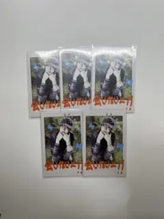 &TEAM BtL チェキ風カード EJウィジュ