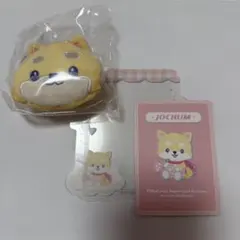 JOCHUM まめちぃ ブローチ&硬質カードケース