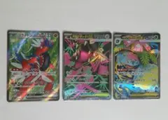 メガフキジバナex　メガクチートex コライドンex