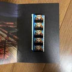 煉獄杏寿郎 119の台詞-追憶- 法被 無限列車編リバイバル上映 応援