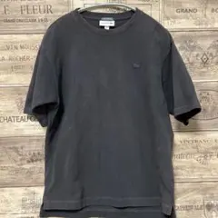 ラコステ EXCLUSIVE EDITION 鹿の子Tシャツ 3 フェード