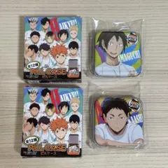 ハイキュー ピルケース 山口忠 赤葦京治 2点セット