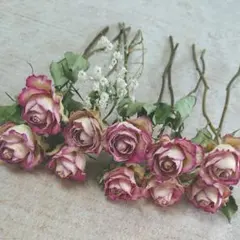 えりりん様専用 ドライフラワー